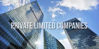 Private Limited Company — image 2